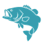 Bass fish icon